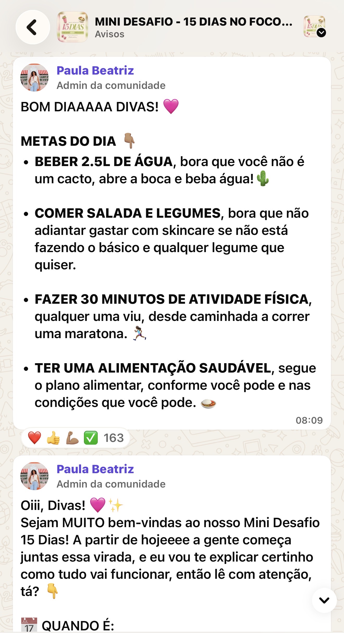 Print real do Grupo VIP no WhatsApp com a Paula Beatriz postando as Metas do Dia